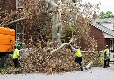 A large uprooted tree and scattered debris lay across the sidewalk and front yard of a historic brick house in St. Louis under a grey sky.
